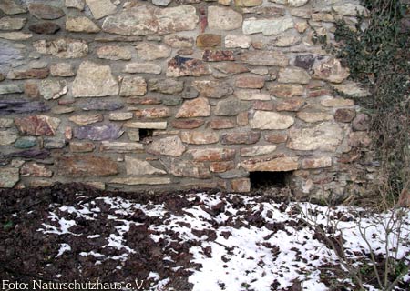 Löcher in der Klostermauer