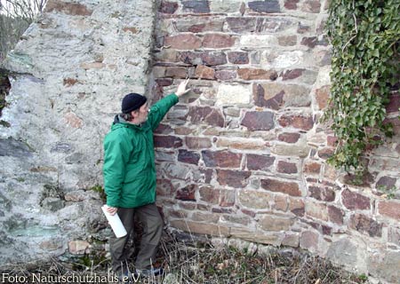 Mann zeigt auf Löcher in der Mauer