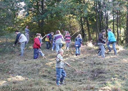 viele Kinder mit Rechen und Heugabeln