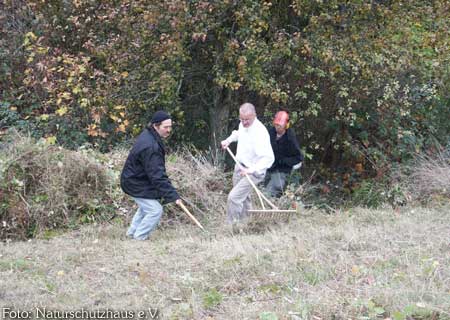 Pflegetrupp an steilem Hang